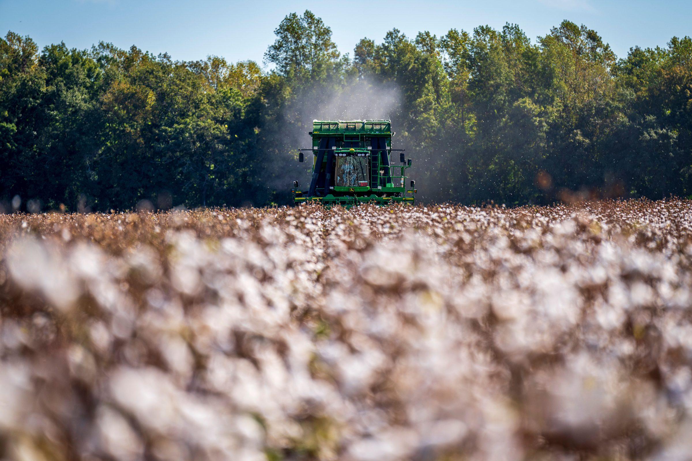 Tractor at work in the field