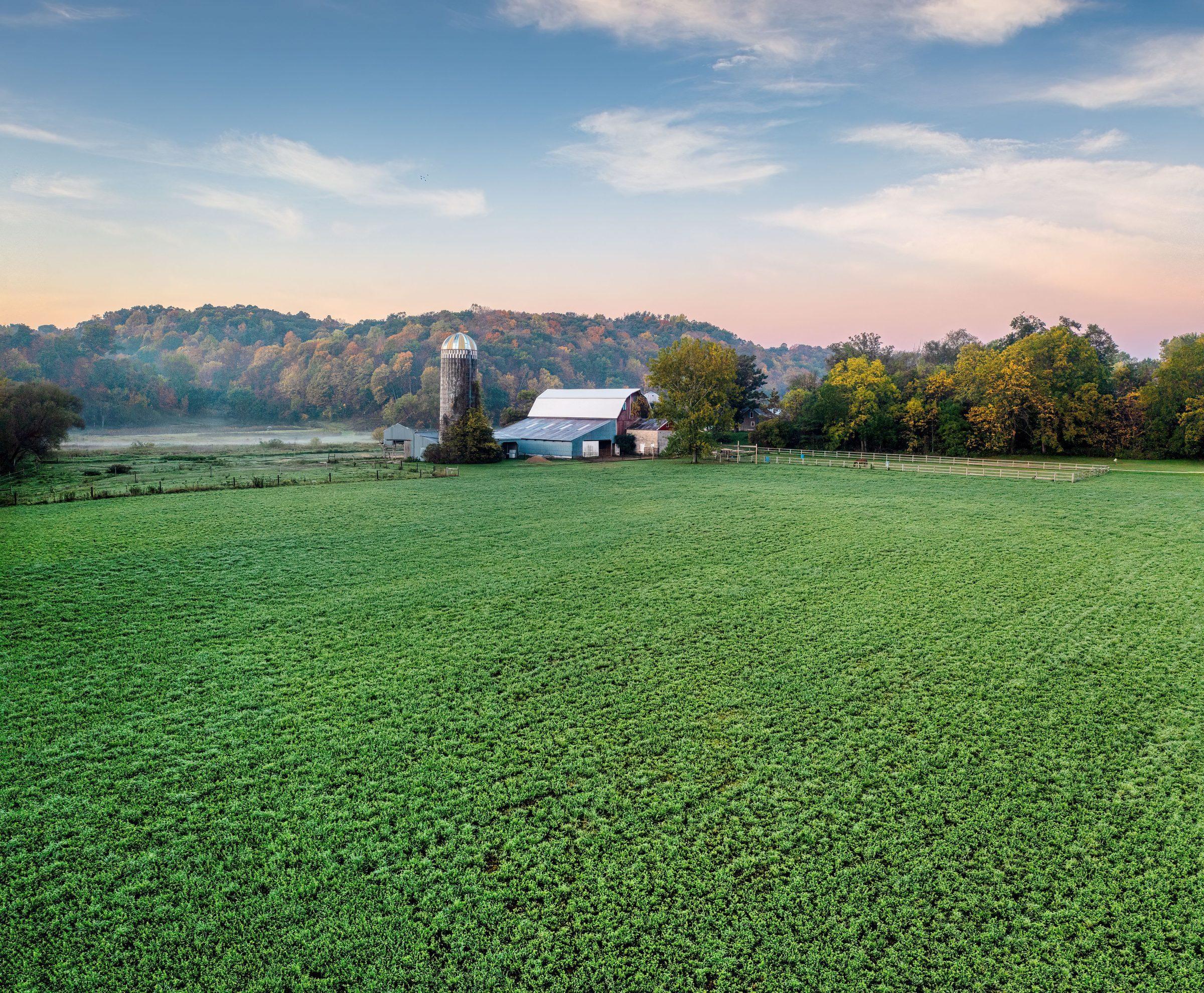 Large-scale agricultural field, the kind of operation PRECISE A80 is built for
