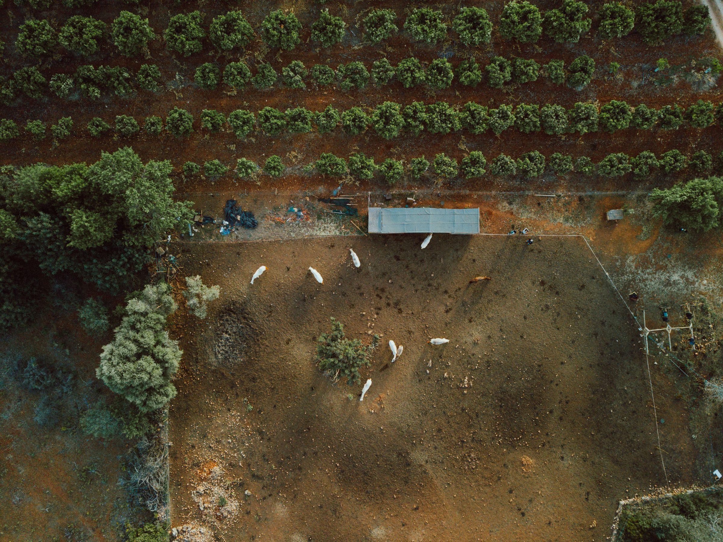 Agricultural field, the kind of operation PRECISE FP300E is built to support