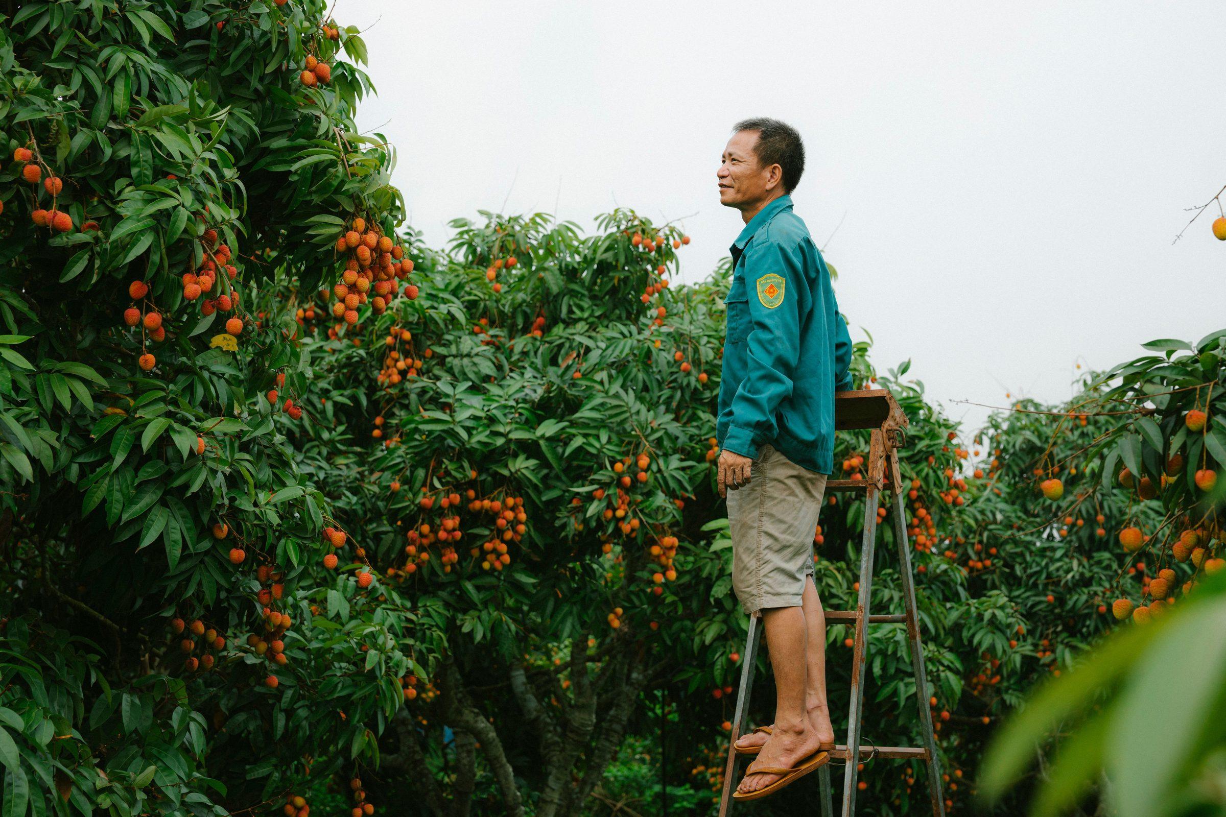 Orchard grower at work, the kind of operation PRECISE FP300E is built to support