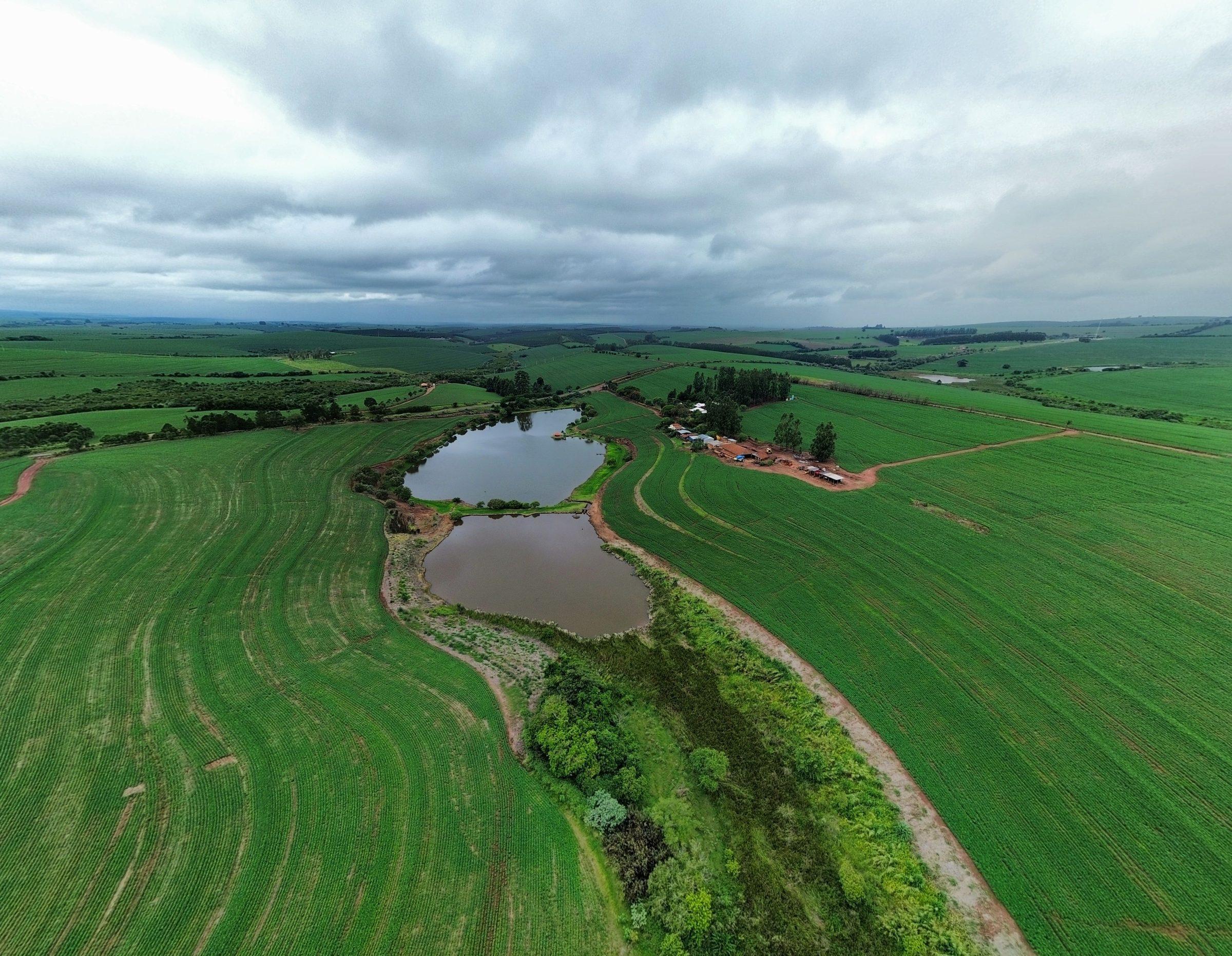Large-scale agricultural field, the kind of operation PRECISE FP700 is built for