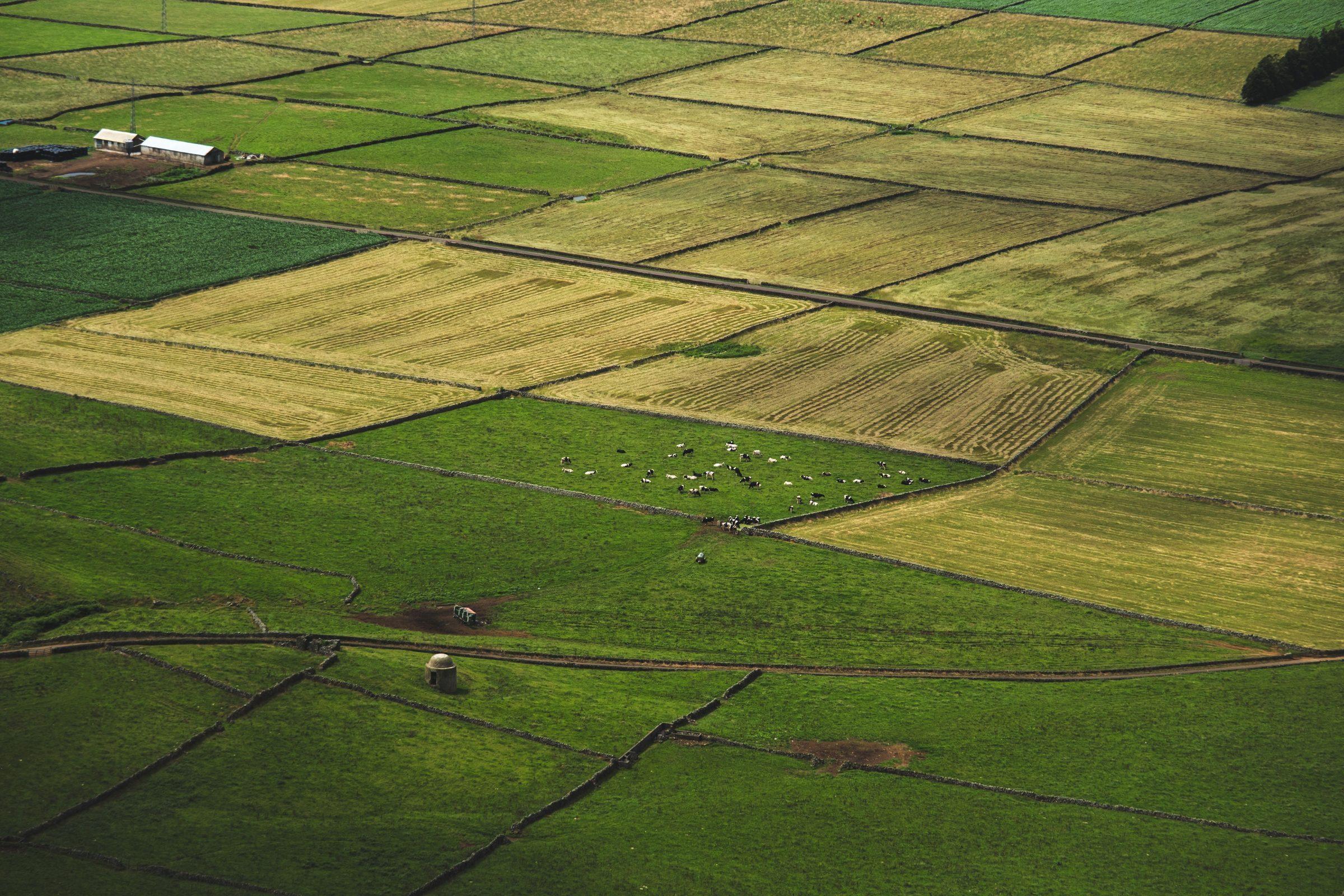Large-scale agricultural field, the kind of operation PRECISE FP700 is built for